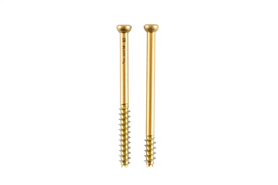 Cannulated Screws
